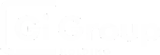 Gi Group Holding